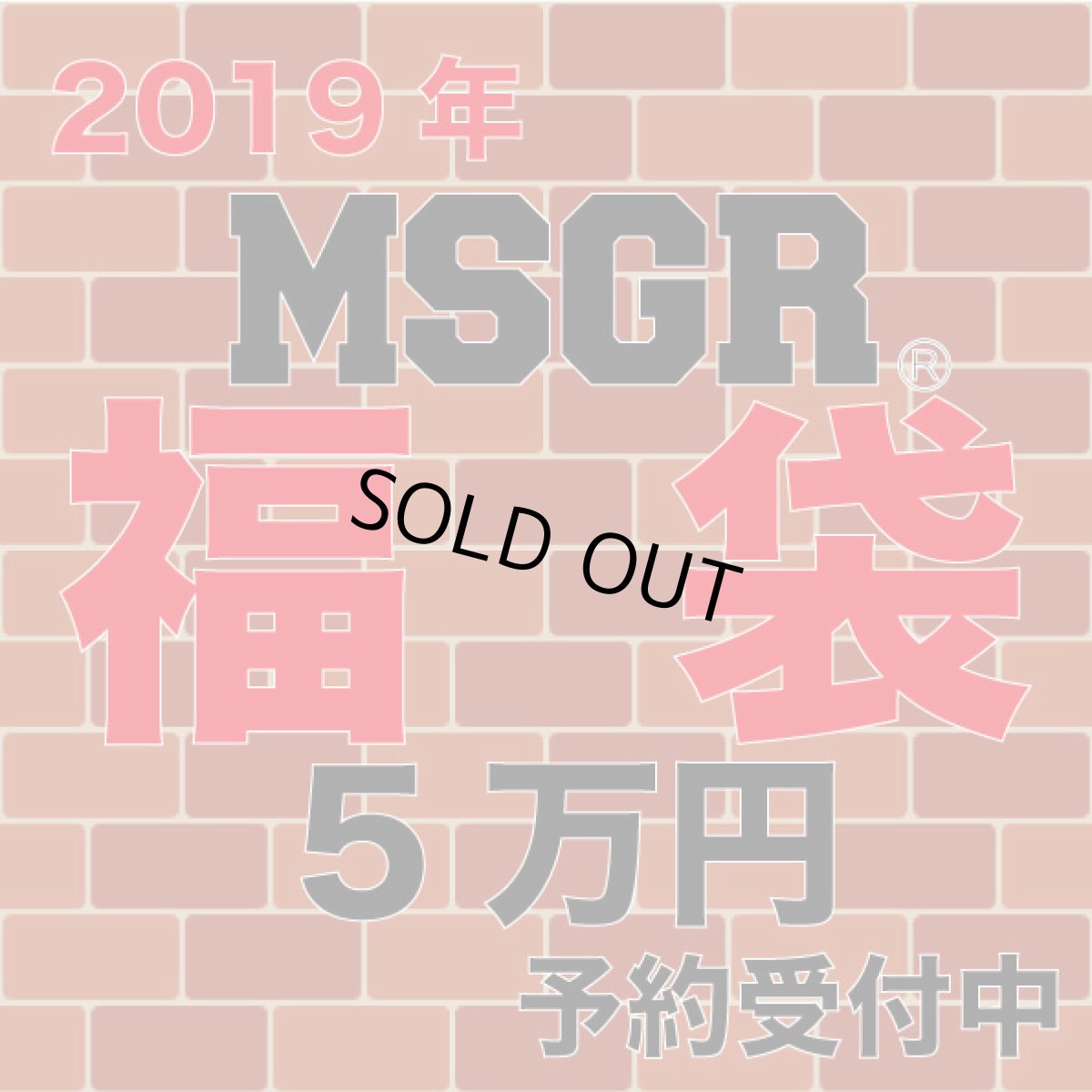 画像1: 2019 MSGR 福袋 5万円　⭐︎予約受付中⭐︎ (1)