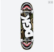 画像1: DGK Pilot Complete Skateboard  (1)