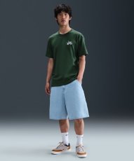 画像3: Nike SB Max90 Skate T-Shirt (Fir)  (3)